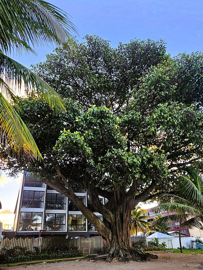 Belo Flat "pé na areia" no Jardim Oceania